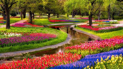 Spring Scenery Wallpaper 1080p 46 Spring Hd Wallpapers 1080p On