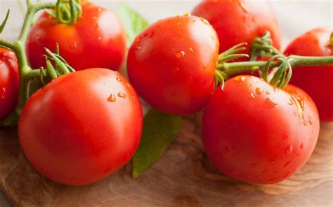 Enjoy Delicious Dry Farmed Tomatoes With Proper Care And Planning Early