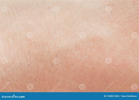 Macro Of Human Skin Human Skin Texture Stock Photo Image Of Clean