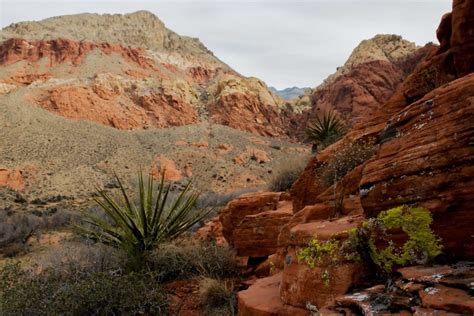 Free Picture Desert Erosion Landscape Canyon Sandstone Geology