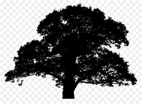 Oak Tree Clipart Silhouette 10 Free Cliparts Download Images On