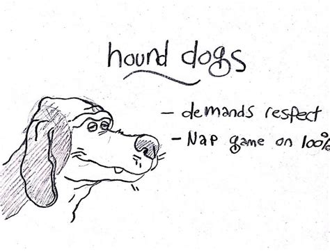 Artist Draws A Hilarious Guide To Dog Breeds To Help You Choose Your