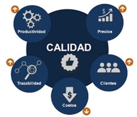 Etapas Evolutivas De La Calidad Sistema De Calidad Timeline Timeto