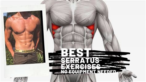 Nivaxi Best Serratus Anterior Exercises You Can Do It Anywhere No