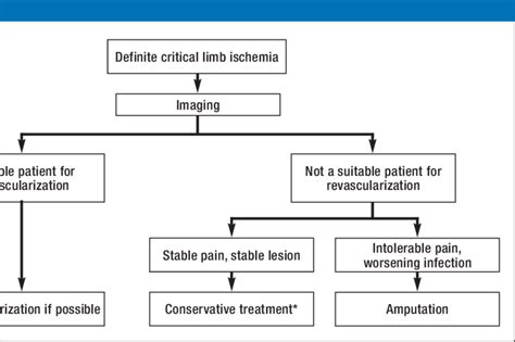 Algorithm For The Treatment Of Patients With Critical Limb Ischemia