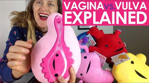 Vagina Vs Vulva With I Heart Guts What S The Difference And What Do