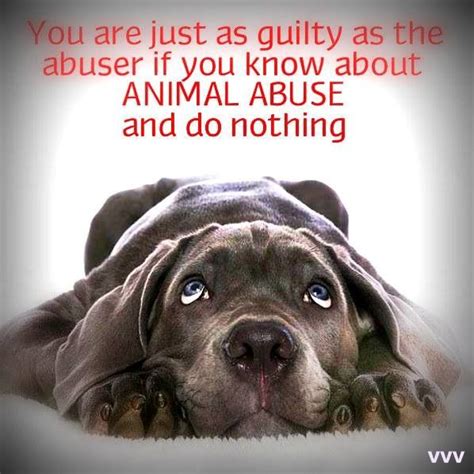 Against Animal Abuse Quotes Quotesgram