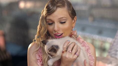 Taylor Swifts Cats Wallpapers Wallpaper Cave