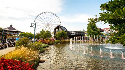 71 Things To Do In Gatlinburg Pigeon Forge April 2022 Expedia