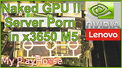 NAKED Nvidia GTX TI In The Awesome Lenovo X M YouTube