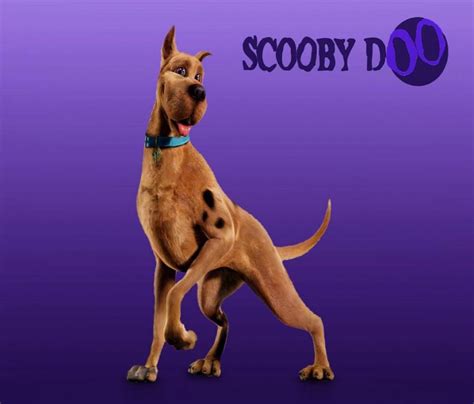 Scooby Doo Scooby Doo Images Scooby Doo Scooby Doo Dog
