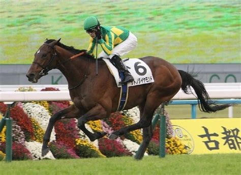 Elm stakes (giii) held at the sapporo racecourse is popular and the time flyer won! 【阪神大賞典2017】出走予定馬｜予想｜予想オッズ12.0倍レーヴ ...