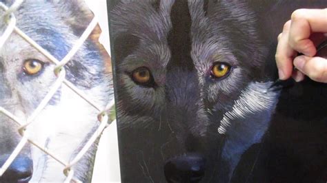 Painting A Gray Wolf In Acrylics Youtube
