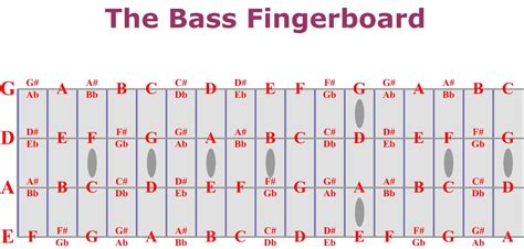 Bass Guitar Fretboard Chart Hot Sex Picture