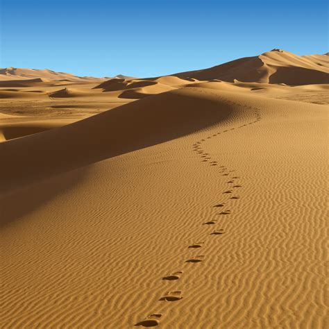 Footprints Over A Sand Dune In The Desert Royalty Free Stock Image