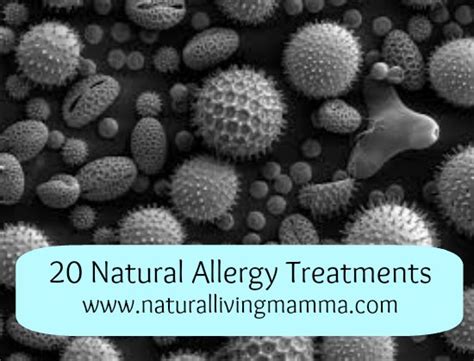 20 Natural Allergy Treatments