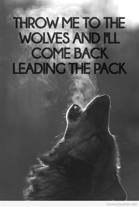 Cool Lone Wolf Quotes Quotesgram