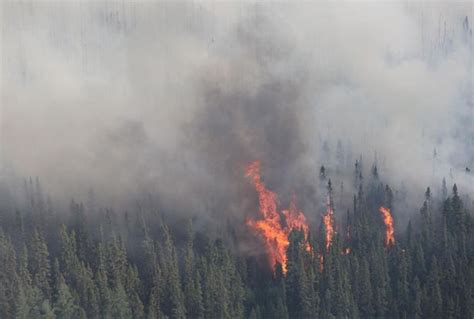 Forest Fire Puts Timmins Under State Of Emergency Timmins Forest