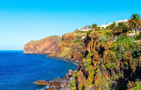 Madeira Holidays Holidays To Madeira In 20232024 Mercury Holidays