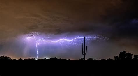 Saguaro Silhouette Lightning Photograph By Saija Lehtonen
