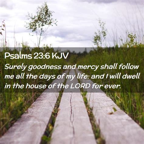 Psalms 236 Kjv Surely Goodness And Mercy Shall Follow Me All The