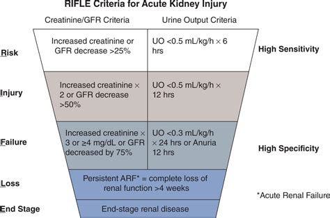 Acute And Chronic Kidney Disease Obgyn Key