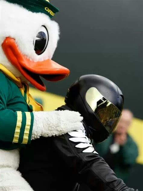 Puddles And His Harley Game Day Tradition University Of Oregon Lj