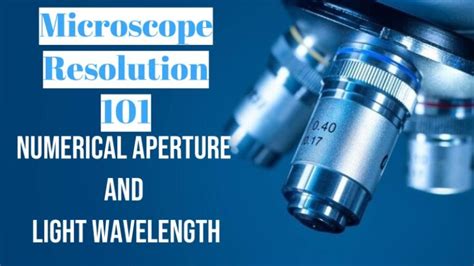 Microscope Resolution 101 The Numerical Aperture And Light Wavelength