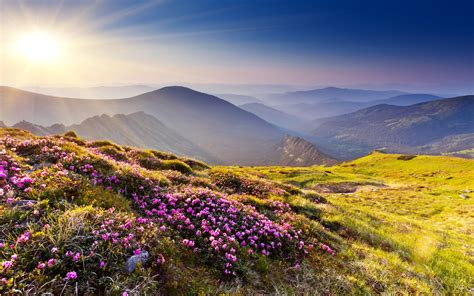 Flowers Mountainslove Smell Nature Sky Landscapes Hd