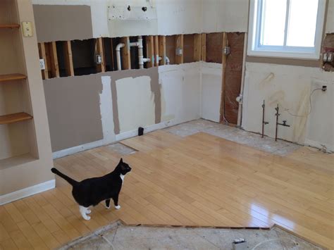 We did not find results for: Hmmm...where did everything go? | Kitchen renovation ...