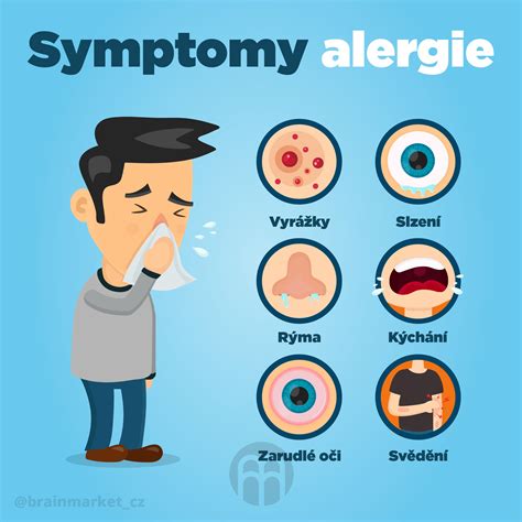 Pravidel Pro Boj S Alergi Na Pyl Brainmarket Cz
