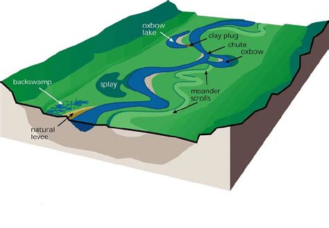 Floodplain Labelled Diagram