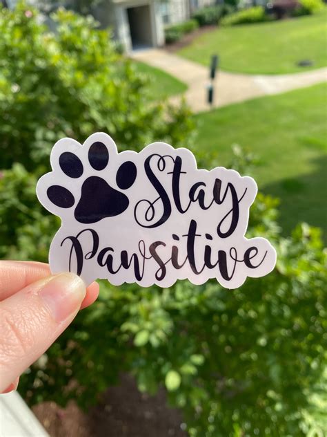 Stay Pawsitive Sticker Positivity Sticker Animal Lover Etsy