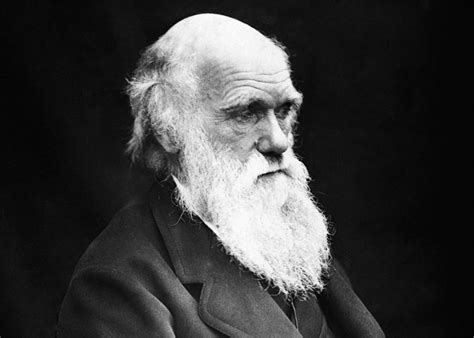 The darwin awards commemorate the (remains of) individuals who contribute to the improvement of our gene pool by removing themselves from it. Polls: Americans believe in evolution, less in creationism.