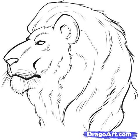 Begin by drawing the nose. How to Draw a Lion Face, Step by Step, safari animals, Animals, FREE Online Drawing Tutorial ...