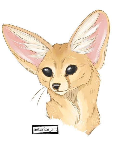 Fennec Fox Art