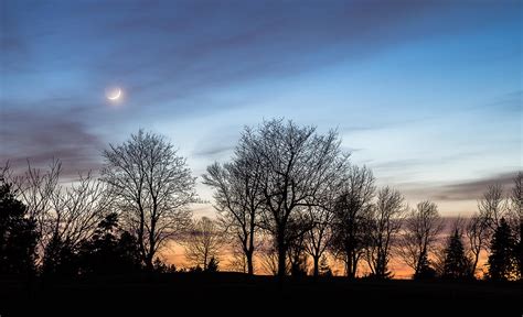 Sunset With Trees And Crescent Moon Photograph By Greg Mcgill
