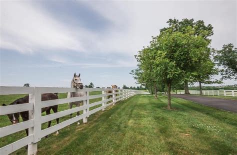 Take Virtual Horse Farm Tours In Kentucky To See Spring In The Bluegrass