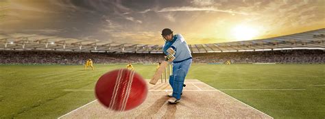 The Ultimate Cricket Betting Guide Free Cricket Betting Tips Cbtf