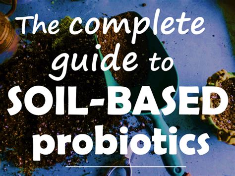 The Complete Guide To Soil Based Probiotics Laptrinhx News