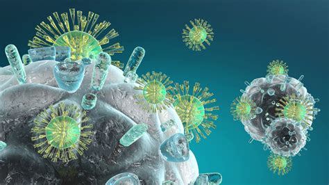 Nuestras Defensas ¿qué Es El Sistema Inmunitario Cómo Funciona