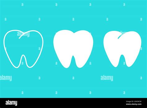 Set Human Tooth Dental Symbol Icon White Tooth Vector Illustration