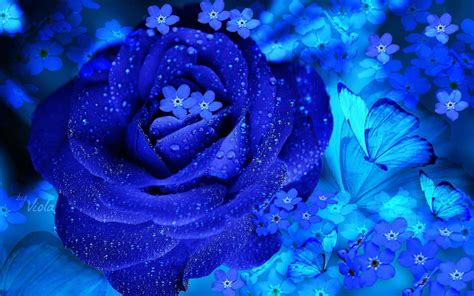 Blue Flowers Wallpaper 517
