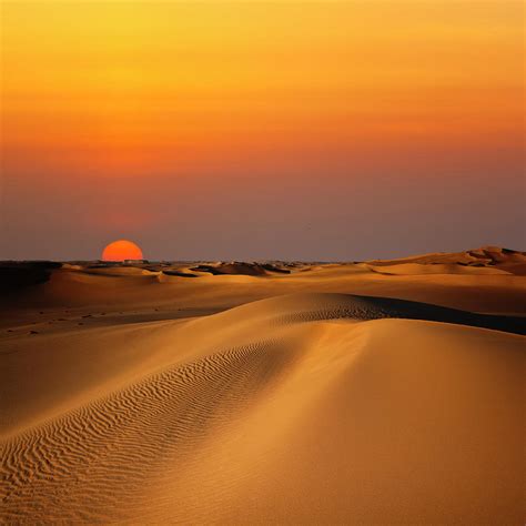 Beach Sand Dunes Sunset