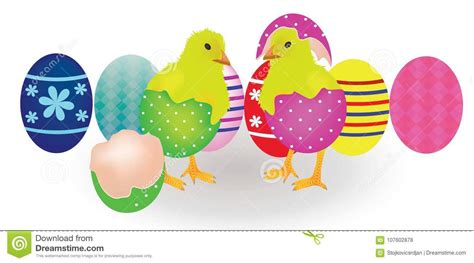 Two Chickens Coming From Easter Eggs Stock Vector Illustration Of