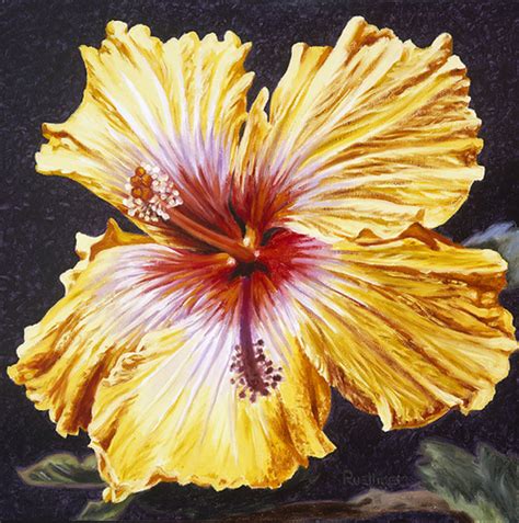 Painting Sunny Hibiscus Original Art By Elaine Ruettiger
