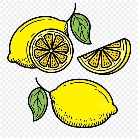 Hand Drawn Lemon Vector Illustration Lemon Citrus Fruit Png And