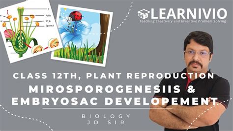 Learnivio Microsporogenesis Reproduction In Flowering Plants Lec