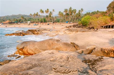 Beautiful Sandy Beach With Palm Trees Calmness Of South India Goa