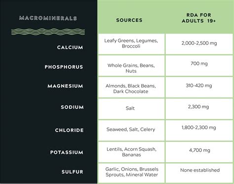 Macronutrients Vs Micronutrients The Complete Guide